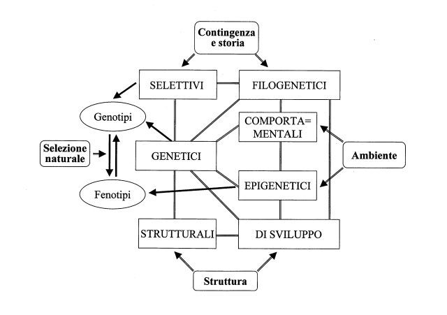 10fig01.JPG (33207 bytes)