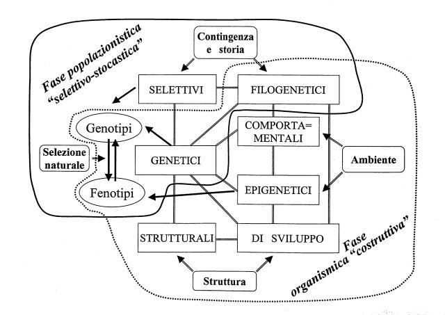 10fig02.JPG (54052 bytes)