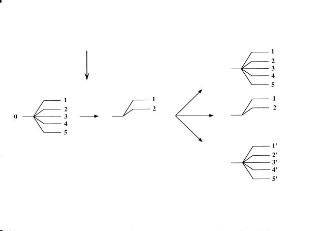 05fig01.JPG (12345 bytes)